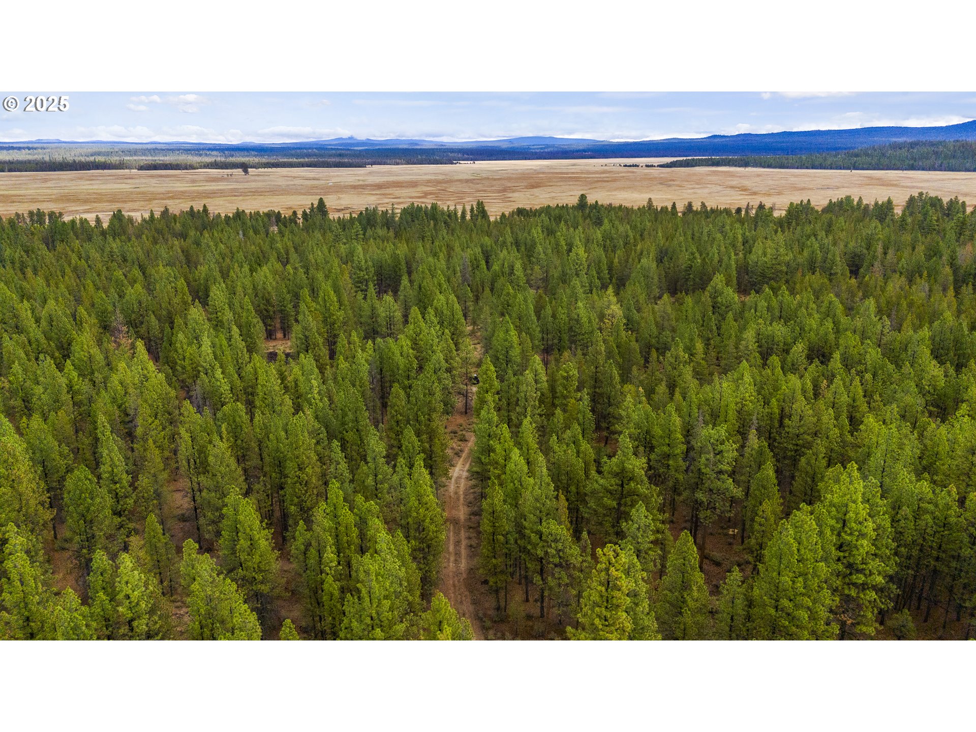 Bare Land Chiloquin, OR 97624 - Photo 17 of 25