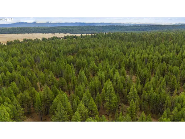 $95,000 | Bare Land, Chiloquin, OR 97624