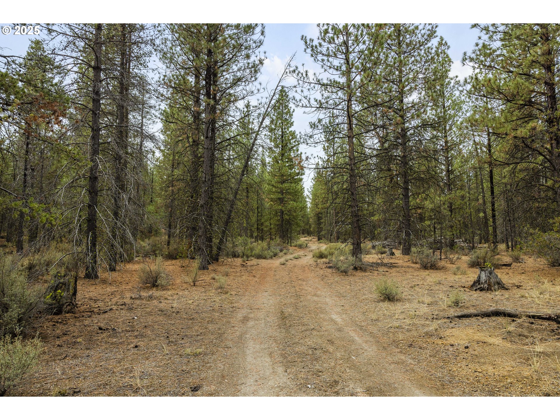 Bare Land Chiloquin, OR 97624 - Photo 20 of 25