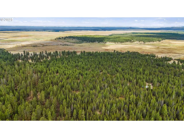 a black and white photo of a beach