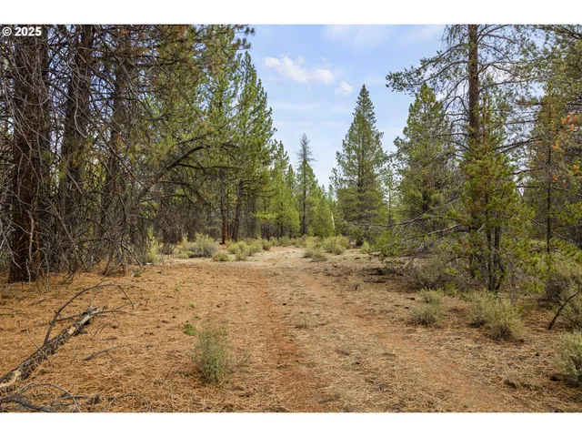 a view of outdoor space and trees