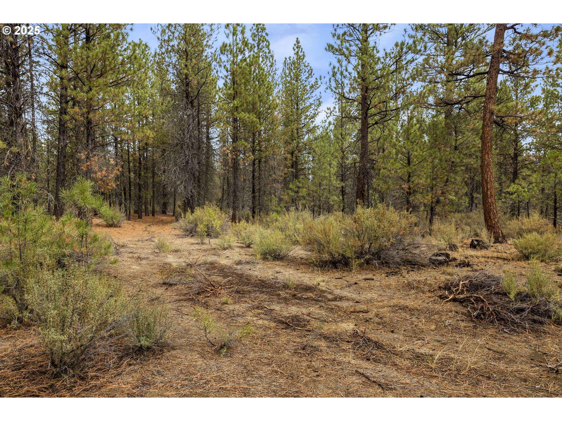 Bare Land Chiloquin, OR 97624 - Photo 22 of 25
