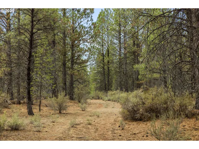 a view of outdoor space with green space