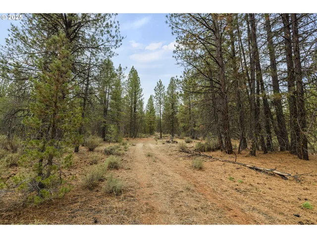 $125,000 | Bare Land, Chiloquin, OR 97624