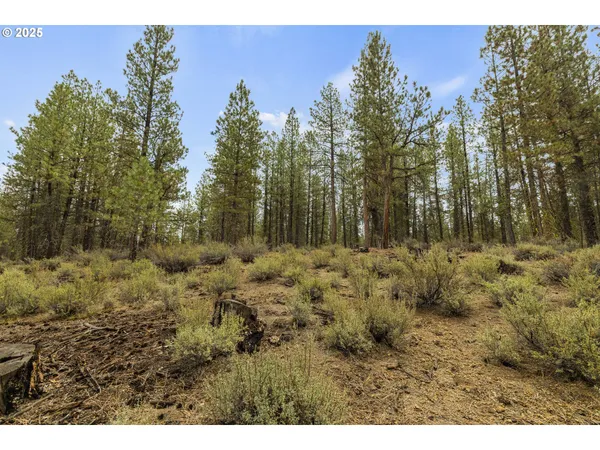$95,000 | Bare Land, Chiloquin, OR 97624