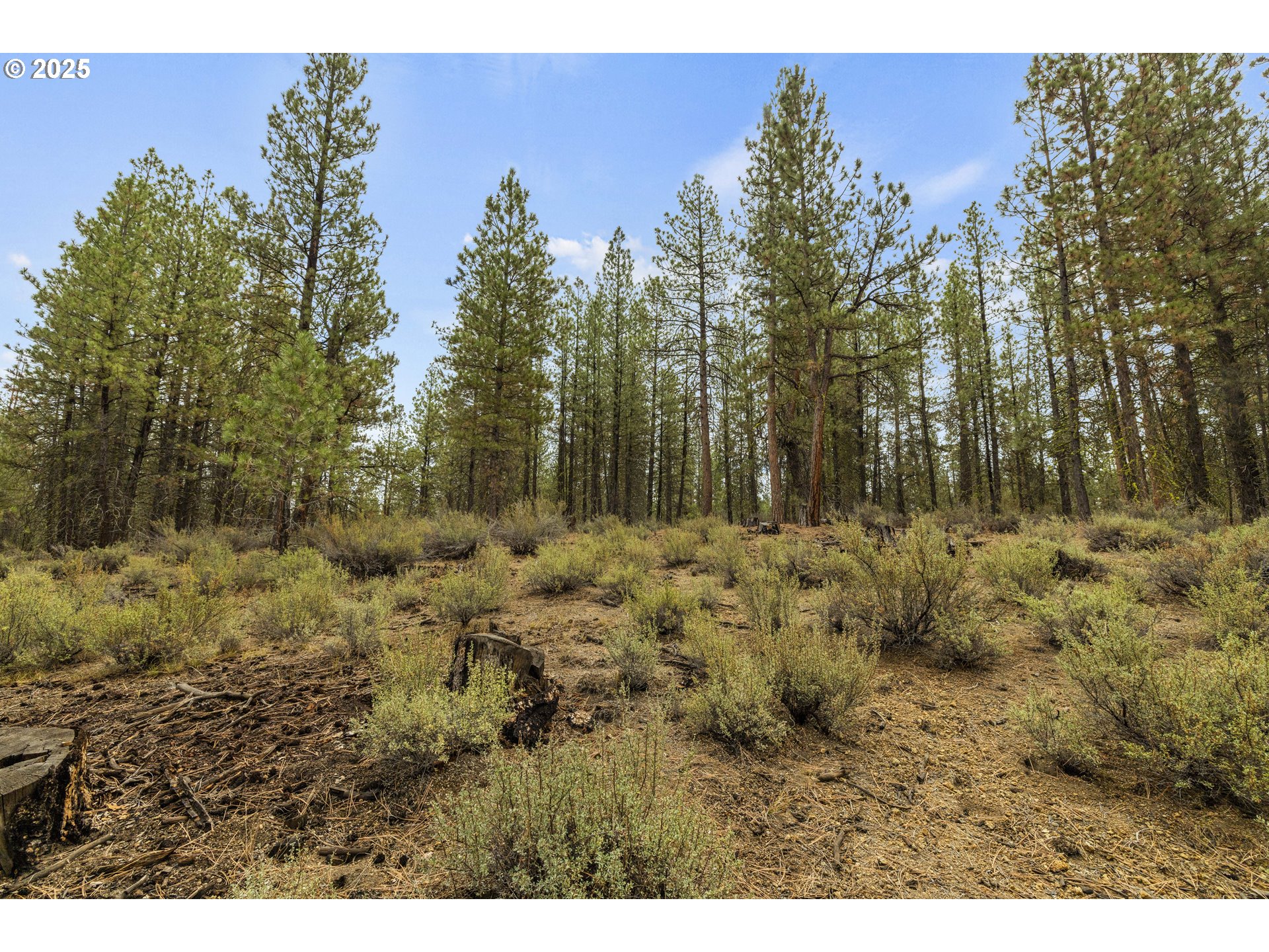 Bare Land Chiloquin, OR 97624 - Photo 25 of 25