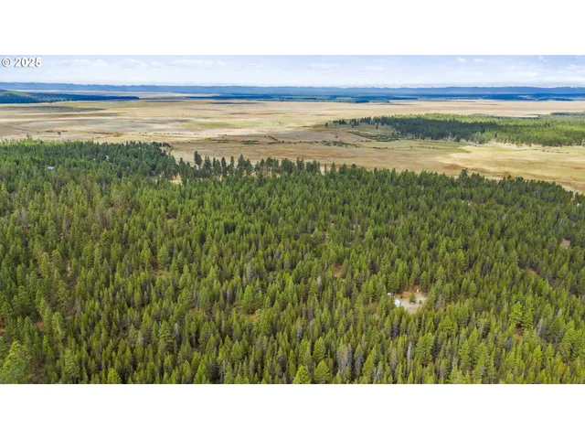 a black and white photo of a big yard