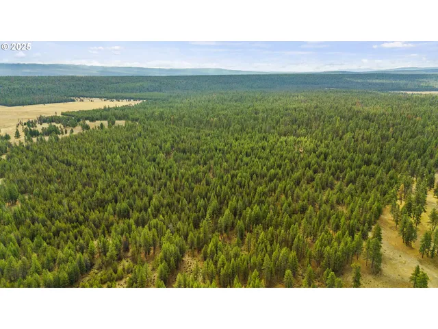 a black and white photo of a field