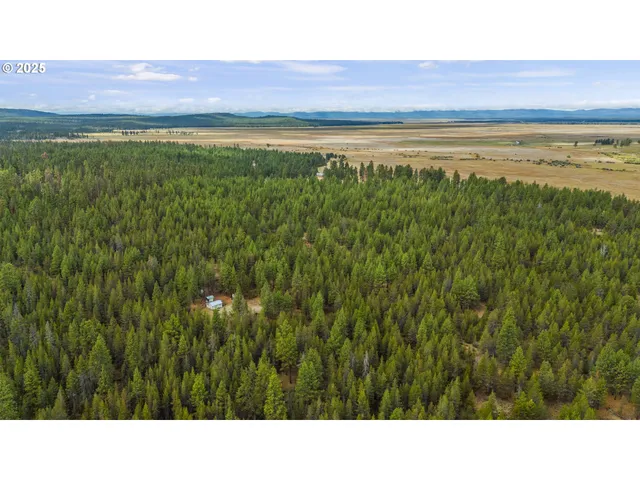 a black and white photo of a field