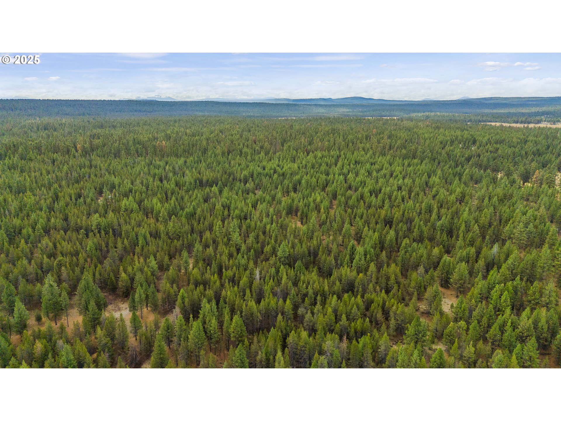 Bare Land Chiloquin, OR 97624 - Photo 10 of 25