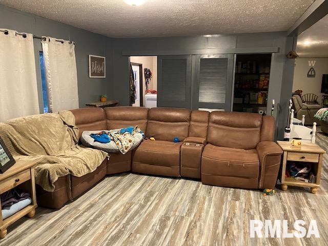 22458 Carlyle Road Thompsonville, IL 62890 - Photo 11 of 30