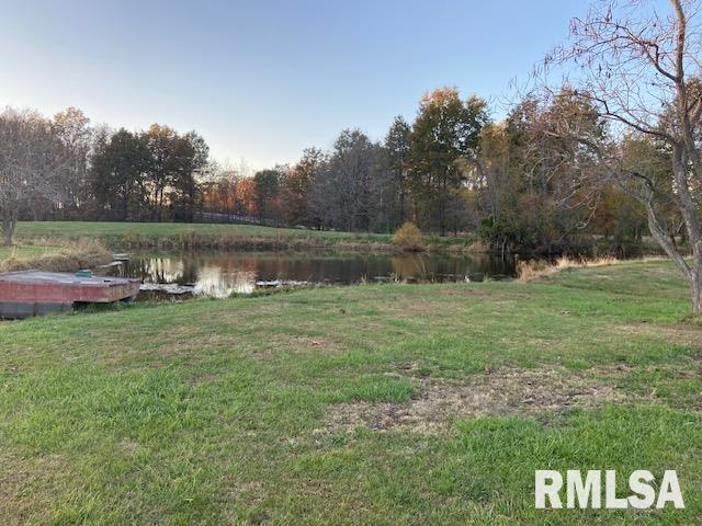 22458 Carlyle Road Thompsonville, IL 62890 - Photo 6 of 30