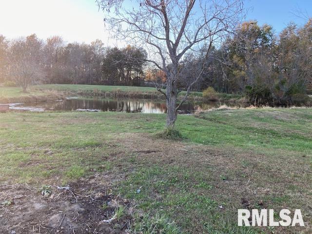 22458 Carlyle Road Thompsonville, IL 62890 - Photo 7 of 30