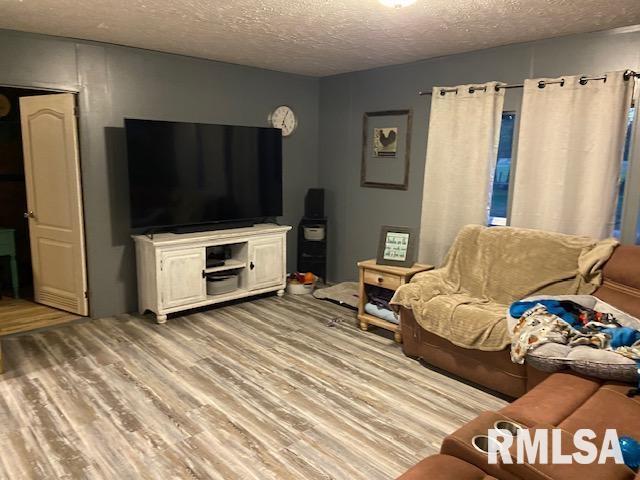 22458 Carlyle Road Thompsonville, IL 62890 - Photo 9 of 30