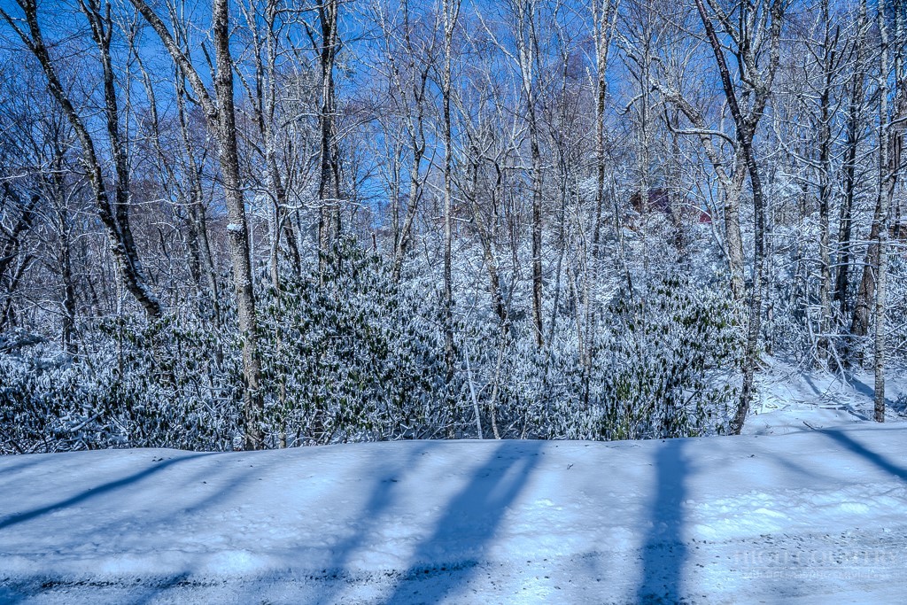 252 Greenbriar Road Beech Mountain, NC 28604 - Photo 9 of 17
