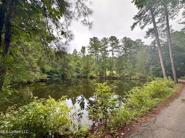 $509,500 | 125 Rosebud Trail, Mendenhall, MS 39114