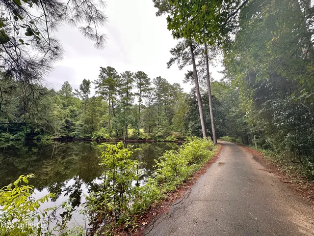 $509,500 | 125 Rosebud Trail, Mendenhall, MS 39114
