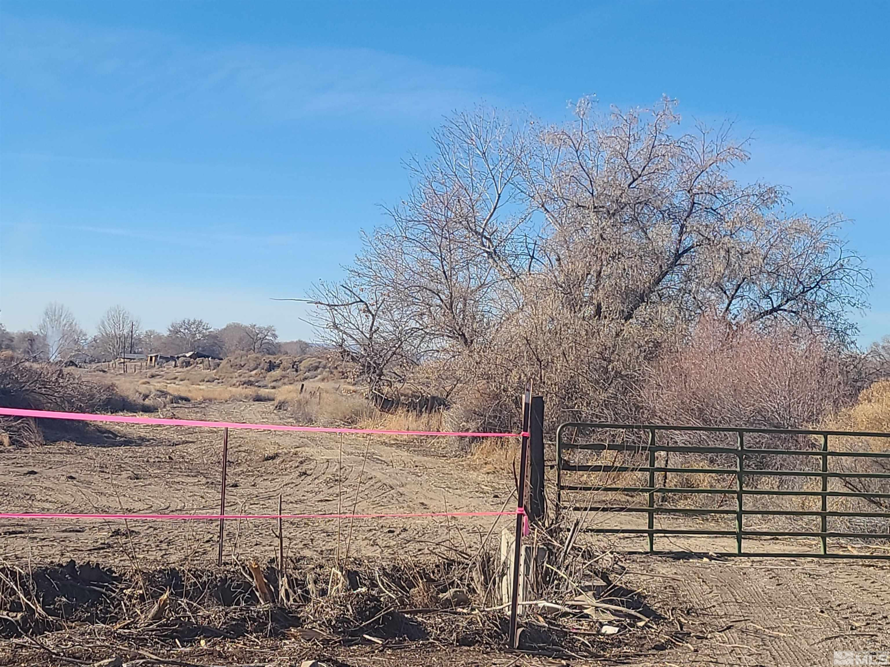 1755 Coleman Road Fallon, NV 89406 - Photo 6 of 12 a view of a dry yard with wooden fence