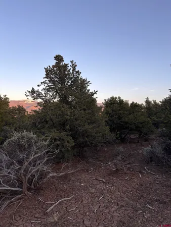 $5,000 | 0 East View Lane, San Luis, CO 81152