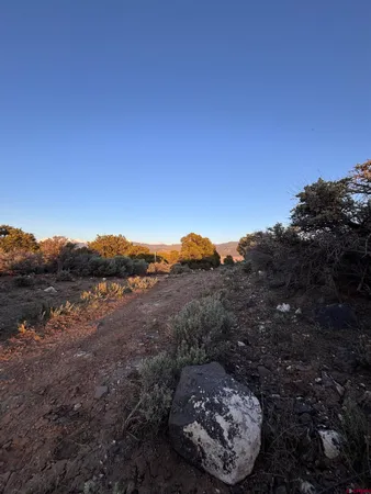 $5,000 | 0 East View Lane, San Luis, CO 81152