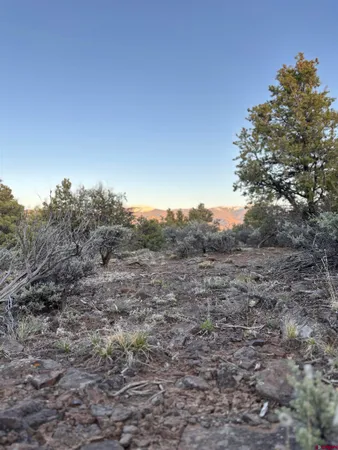 $5,000 | 0 East View Lane, San Luis, CO 81152