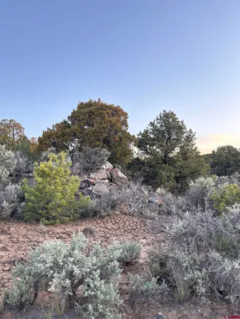 $5,000 | 0 East View Lane, San Luis, CO 81152