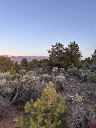 $5,000 | 0 East View Lane, San Luis, CO 81152