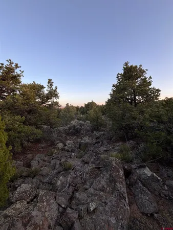 $5,000 | 0 East View Lane, San Luis, CO 81152