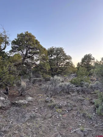 $5,000 | 0 East View Lane, San Luis, CO 81152