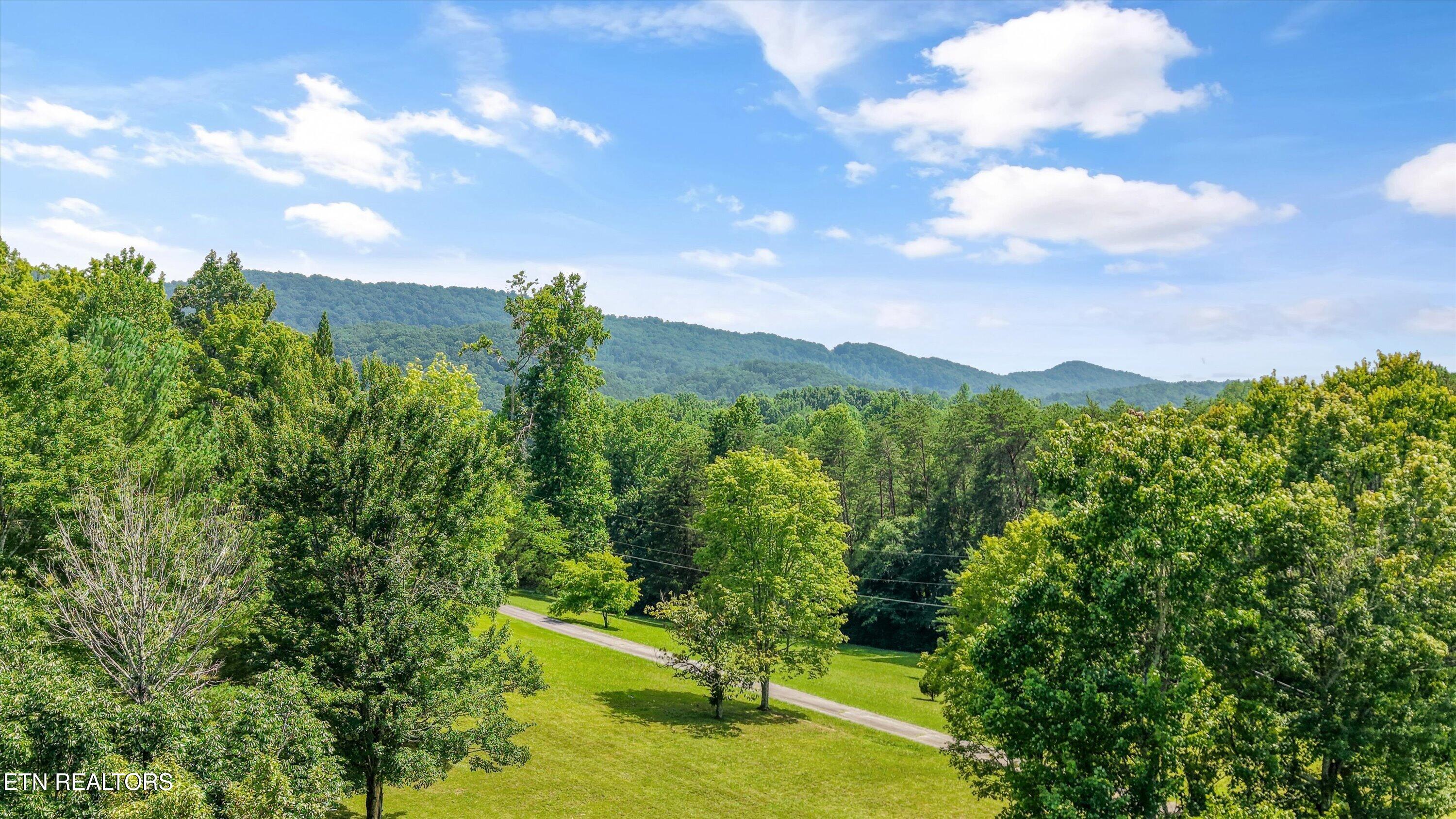 3924 Rocky Branch Road Walland, TN 37886 - Photo 4 of 59 53-3924 Rocky Branch Rd14