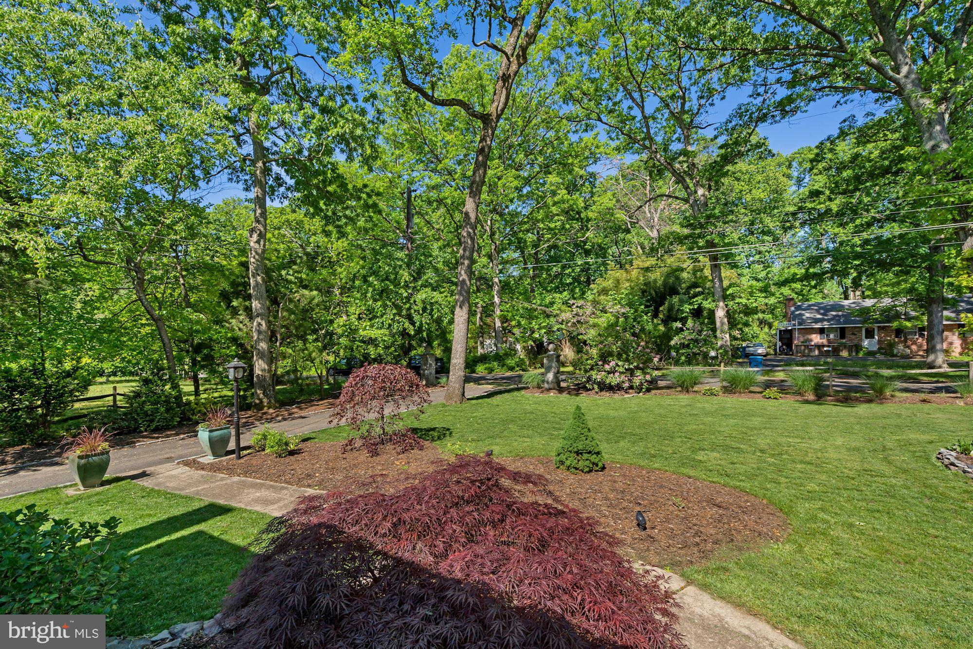 4921 Ridgewood Road Alexandria, VA 22312 - Photo 45 of 48 One view of front yard from front door