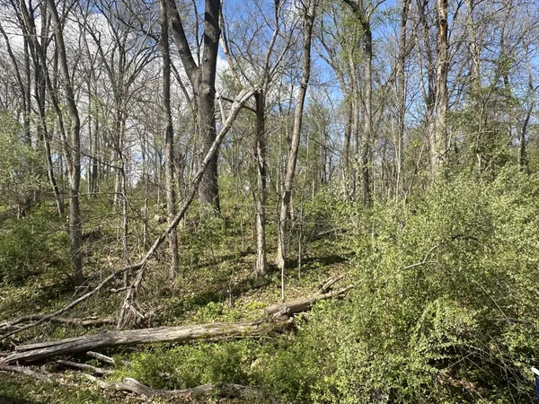 $3,500 | 0 Lake Thunderbird Drive, Putnam, IL 61560