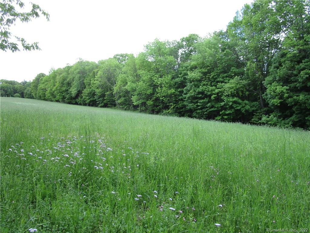 187 Winchester Road Winchester, CT 06098 - Photo 1 of 1 Gallery Image 1