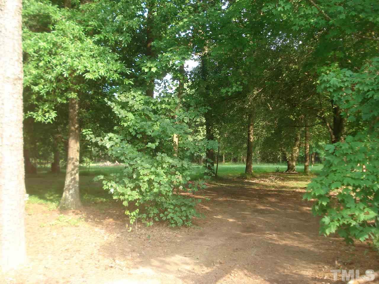 1221 Bill Poole Road Rougemont, NC 27572 - Photo 7 of 17 a pathway of a yard