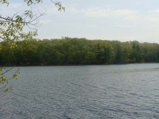 Lot 9 Flannery Lake Road Rhinelander, WI 54501 - Photo 11 of 18 Gallery Image 11