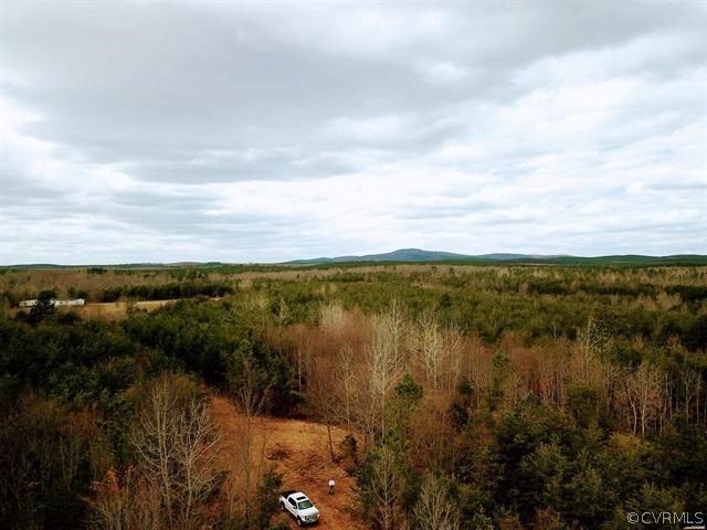 Lot 3 Midland Road Wingina, VA 24599 - Photo 3 of 20