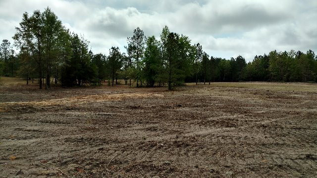 665 Windsor Road Windsor, SC 29856 - Photo 6 of 11