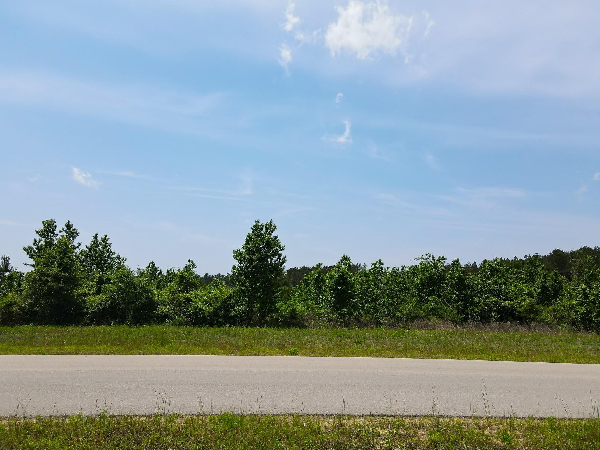 16089 Forest Mill Road Willis, TX 77378 - Photo 6 of 12