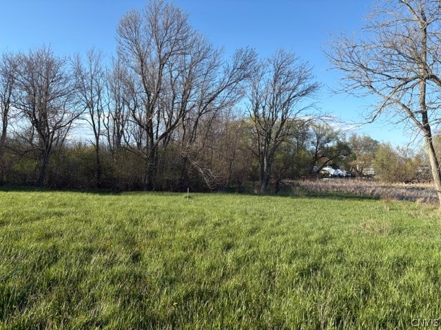 Three South Shore Road Three Mile Bay, NY 13693 - Photo 4 of 5
