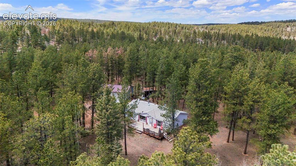 2450 Pathfinder Road Florissant, CO 80816 - Photo 25 of 29 Gallery Image 25