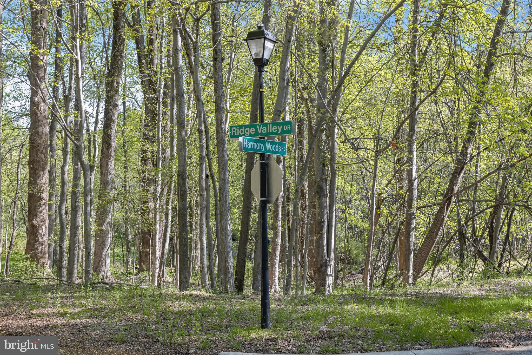 2204 Harmony Woods Road Owings Mills, MD 21117 - Photo 5 of 35 Grounds
