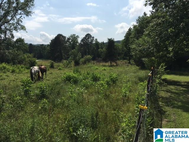 37-acres Joy Road, Unit 37 ACRES Hayden, AL 35079 - Photo 12 of 17