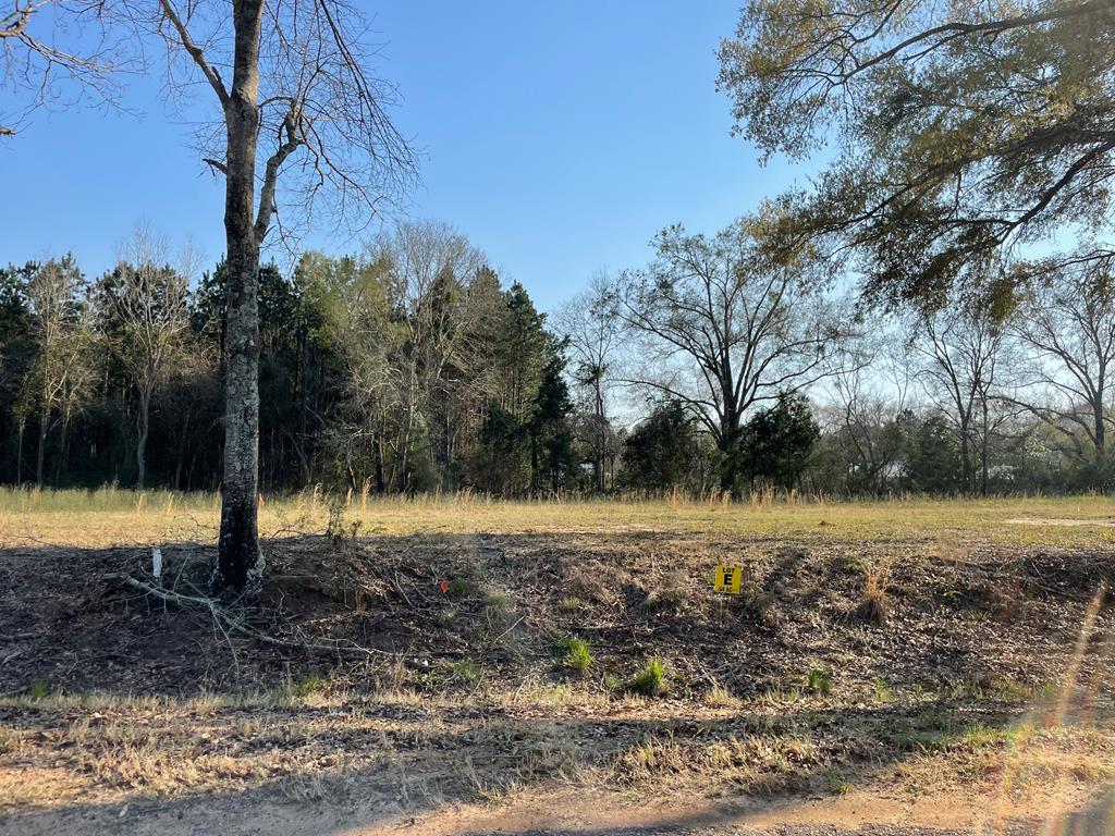 Lot E Prevatt Road Ashford, AL 36312 - Photo 1 of 1