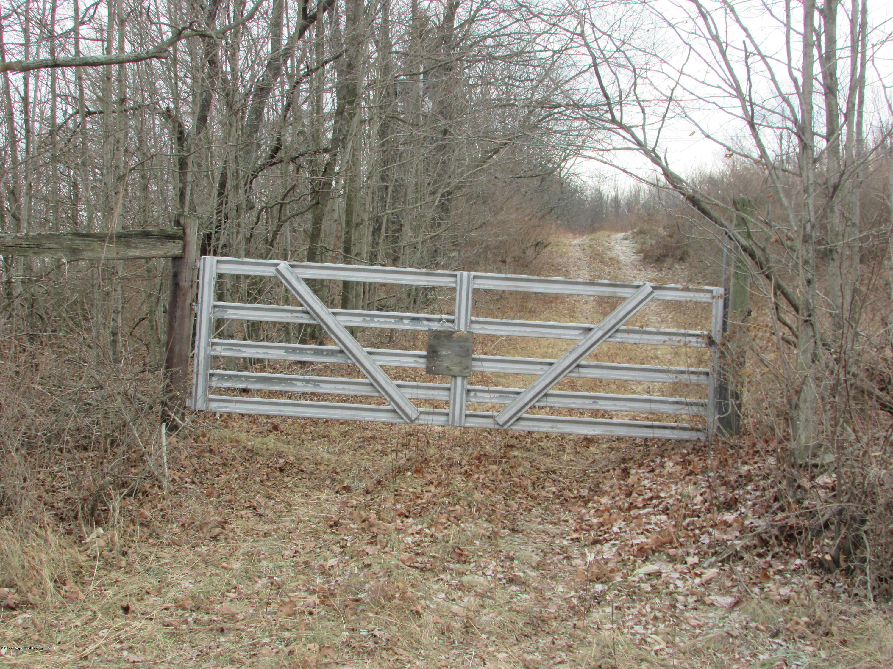 Sayman Road New Albany, PA 18833 - Photo 2 of 12 IMG_3412