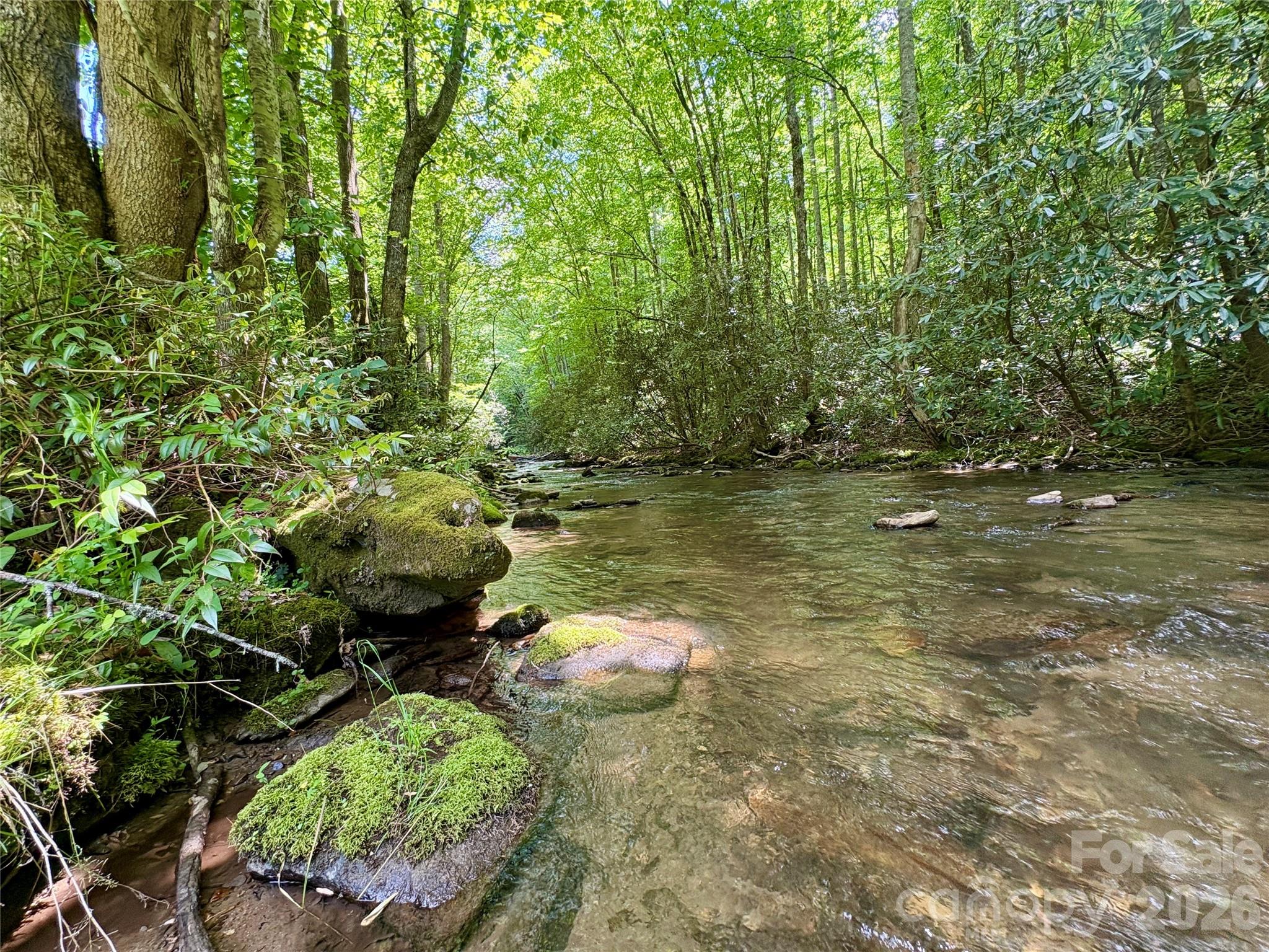 0 Alarka Road, Unit 48 Bryson City, NC 28713 - Photo 1 of 11