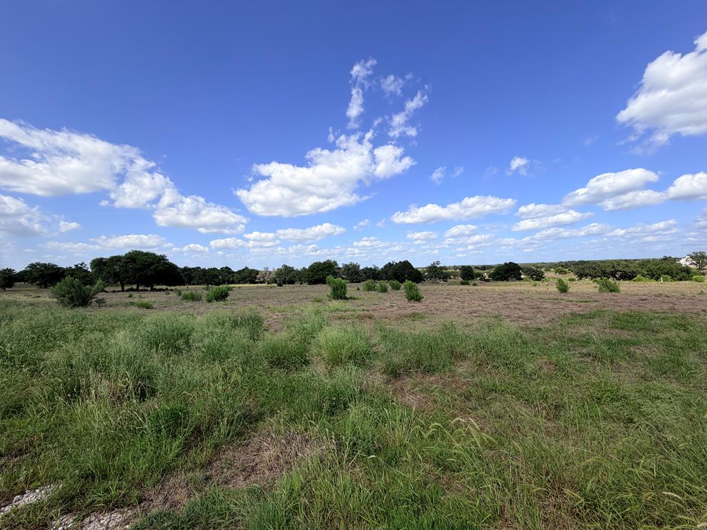 485 Inspiration Loop, Unit 103 Comfort, TX 78013 - Photo 8 of 22