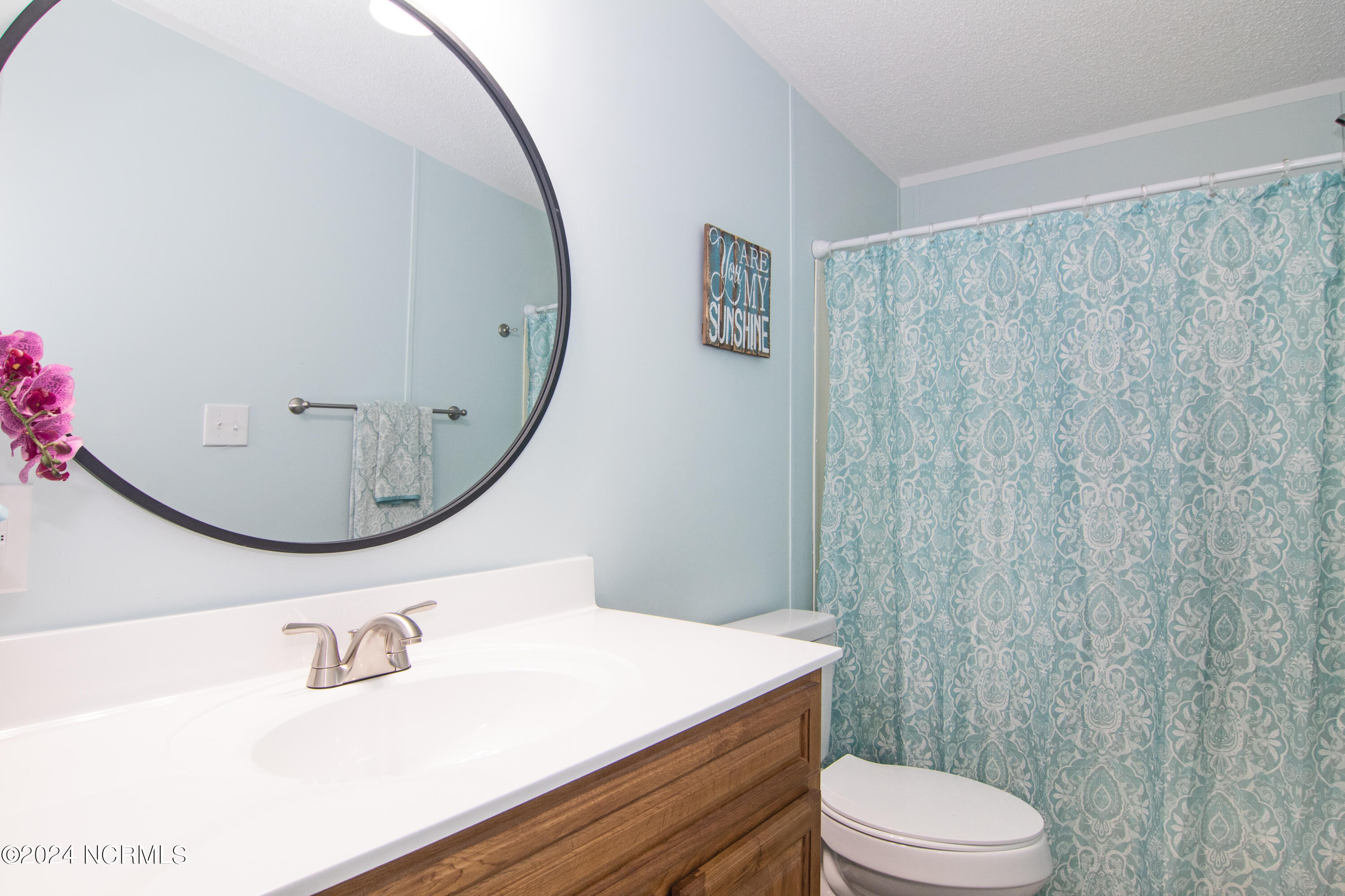 14235 Old Lake Road Riegelwood, NC 28456 - Photo 21 of 31 Bath 2