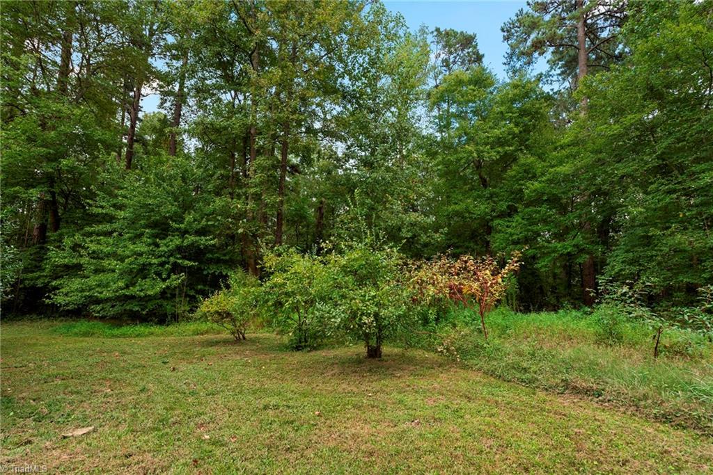 5721 Clarence Road Julian, NC 27283 - Photo 3 of 38 Gallery Image 3