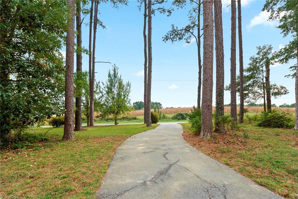 5721 Clarence Road Julian, NC 27283 - Photo 6 of 38 Gallery Image 6