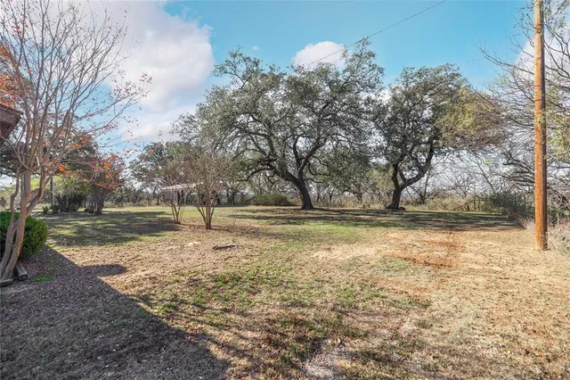 a view of dirt yard with a tree